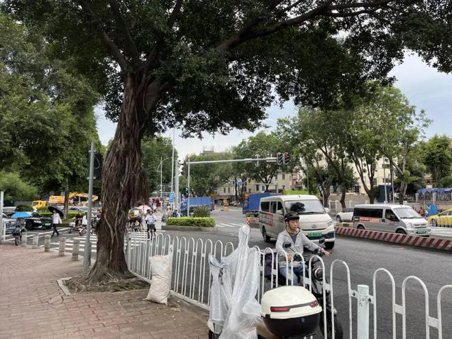 广州海珠中建天钰售楼处电线官网首页-中建天钰最新价格详情(图5)