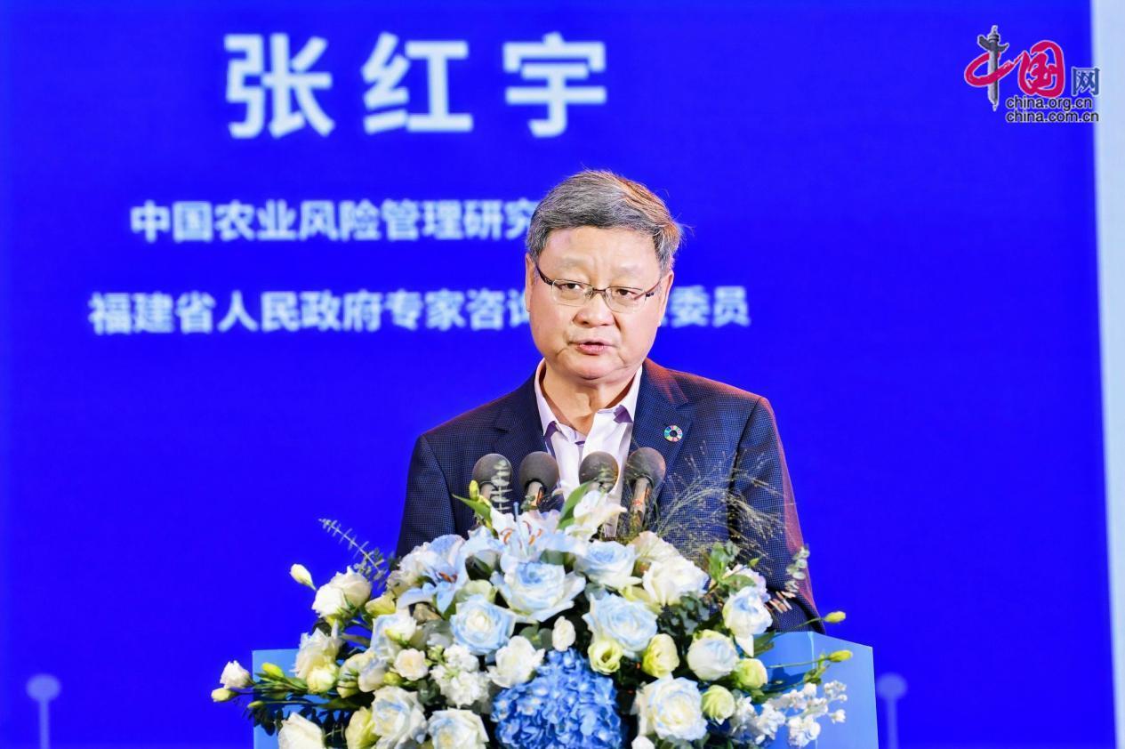 2024中国商业发展论坛蓝色峰会在福建霞浦举办(图4)