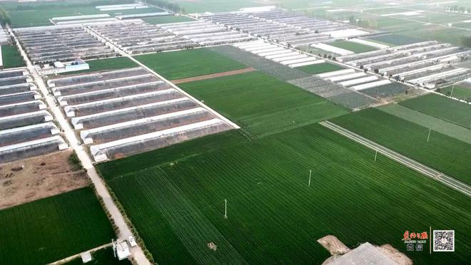 博爱县：工业扩量 农业提质 文旅增效 在高质量发展航道上加速前行(图11)