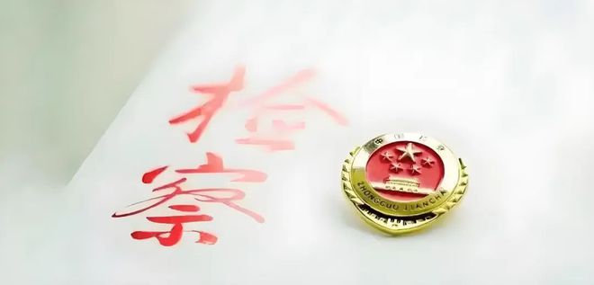 聚焦两会丨“数”览惠东县人民检察院工作(图3)
