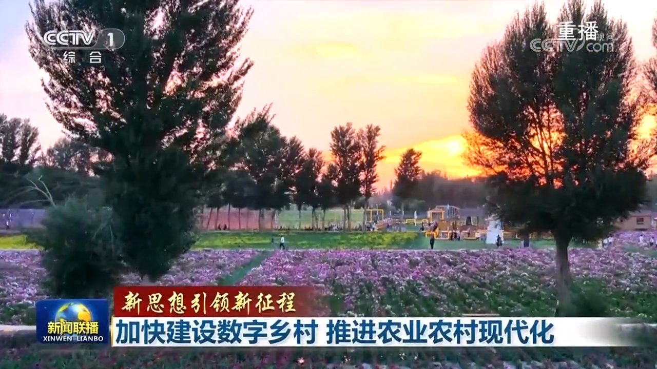 【新思想引领新征程】加快建设数字乡村 推进农业农村现代化(图2)