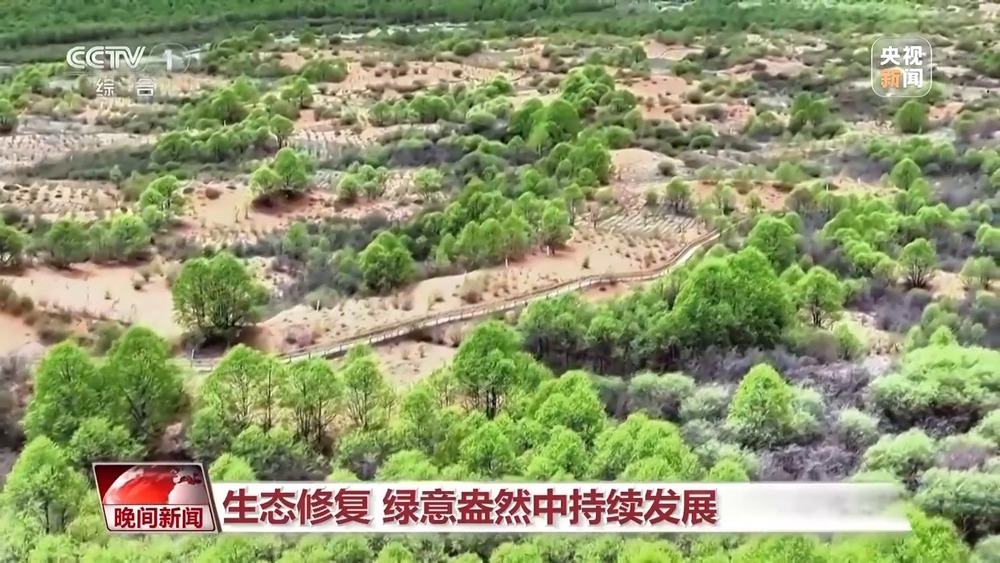 多维度 很亮眼！我国绿色发展交答卷(图8)